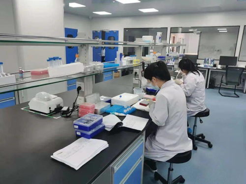 奋进正当时 固安产业新城的“犇”腾之势与电气科技新浪潮